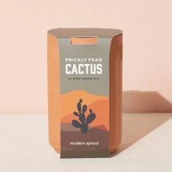 Prickly Pear Cactus Terrcaotta Kit By Modern Sprout