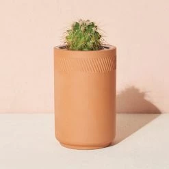 Prickly Pear Cactus Terrcaotta Kit By Modern Sprout