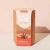 Aloe Terrcaotta Kit By Modern Sprout Home + Lifestyle