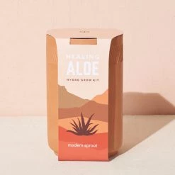 Aloe Terrcaotta Kit By Modern Sprout Home + Lifestyle
