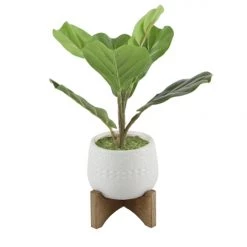 Flora Bunda Inc. Home + Lifestyle Artificial Fiddle Fig In Ceramic Pot