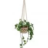 Soul Of The Party Macrame Hanging Planter