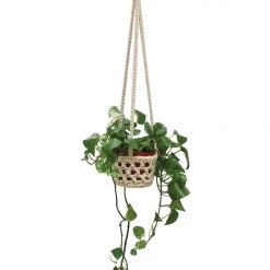 Soul Of The Party Macrame Hanging Planter