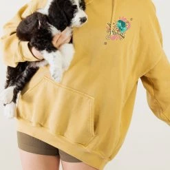 Mysteries Hoodie By BDG