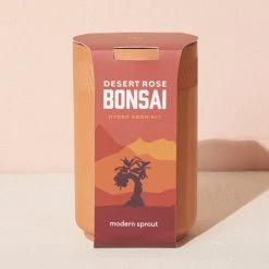 Bonsai Terracotta Kit By Modern Sprout