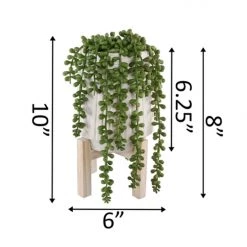 Flora Bunda Inc. Home + Lifestyle Artificial Donkey Tail In Ceramic Pot