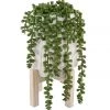 Flora Bunda Inc. Home + Lifestyle Artificial Donkey Tail In Ceramic Pot