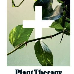 Hachette Plant Therapy: Why An Indoor Green Oasis Can Improve Your Mental And Emotional Wellbeing