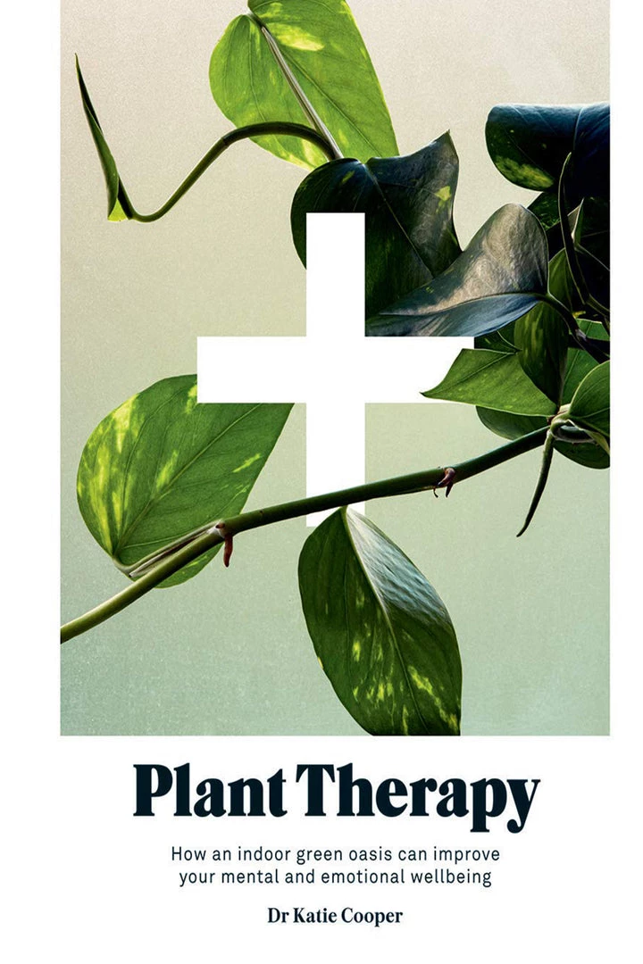 Hachette Plant Therapy: Why An Indoor Green Oasis Can Improve Your Mental And Emotional Wellbeing 1 Hachette Plant Therapy: Why An Indoor Green Oasis Can Improve Your Mental And Emotional Wellbeing