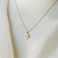 Nectar Clothing Horoscrop Sign Necklaces